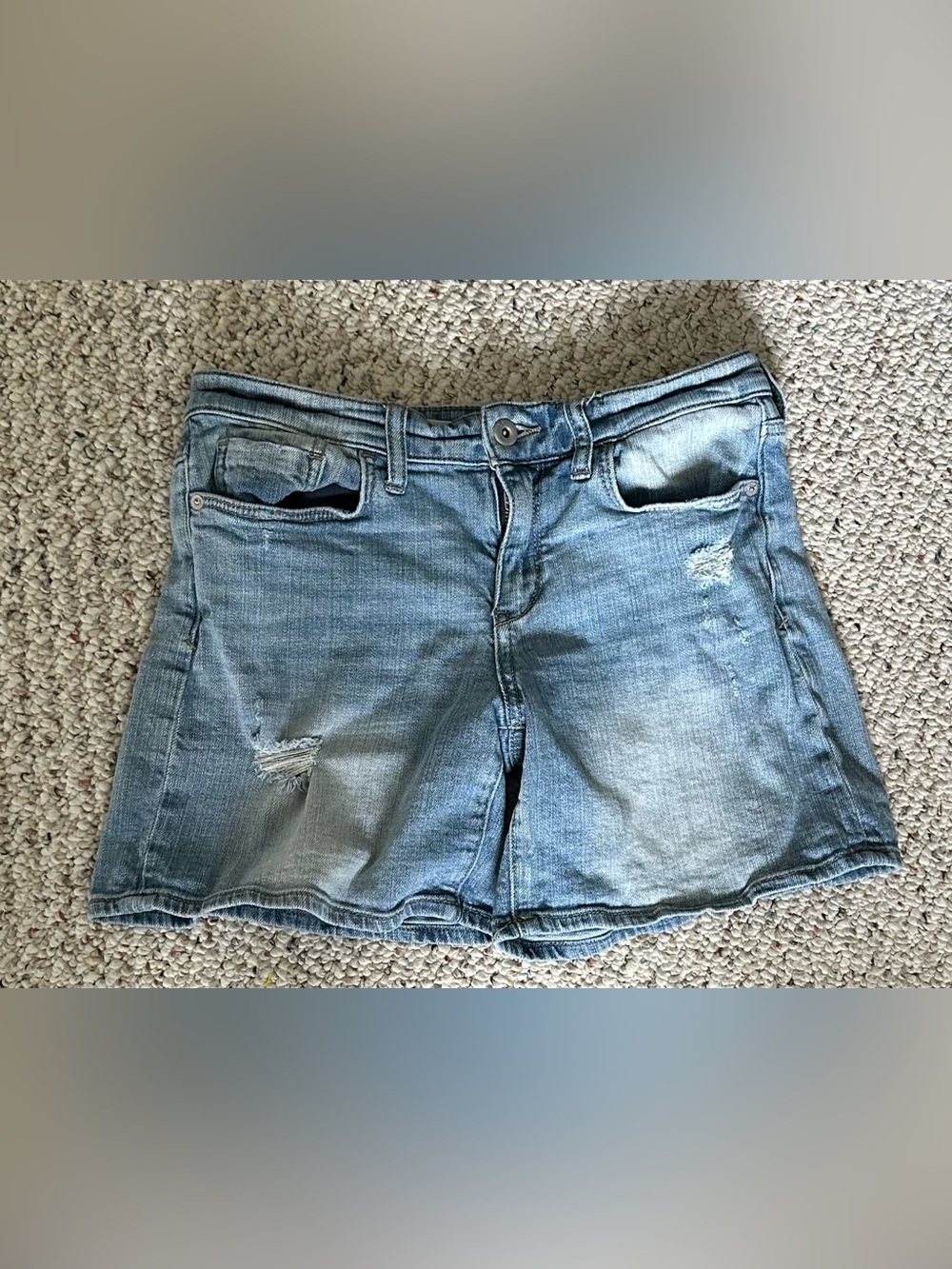 Pilcro and the Letterpress Light Blue Distressed Denim Shorts